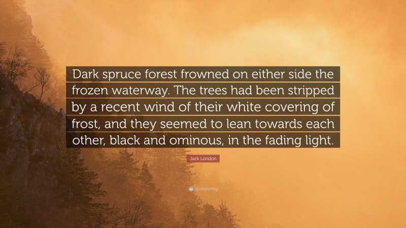 Jack London Quote: “Dark spruce forest frowned on either side the frozen waterway. The trees had been stripped by a recent wind of their white covering of frost, and they seemed to lean towards each other, black and ominous, in the fading light.”
