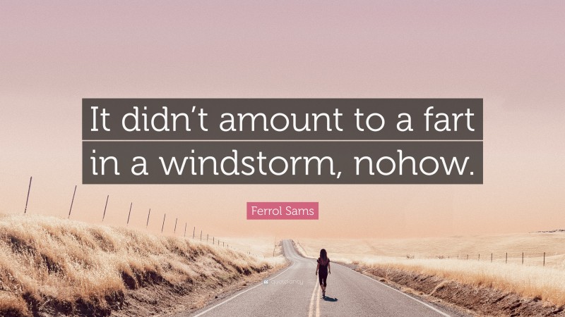 Ferrol Sams Quote: “It didn’t amount to a fart in a windstorm, nohow.”