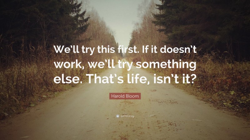 Harold Bloom Quote: “We’ll try this first. If it doesn’t work, we’ll try something else. That’s life, isn’t it?”