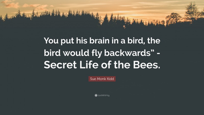Sue Monk Kidd Quote: “You put his brain in a bird, the bird would fly backwards” -Secret Life of the Bees.”