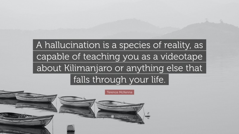 Terence McKenna Quote: “A hallucination is a species of reality, as capable of teaching you as a videotape about Kilimanjaro or anything else that falls through your life.”