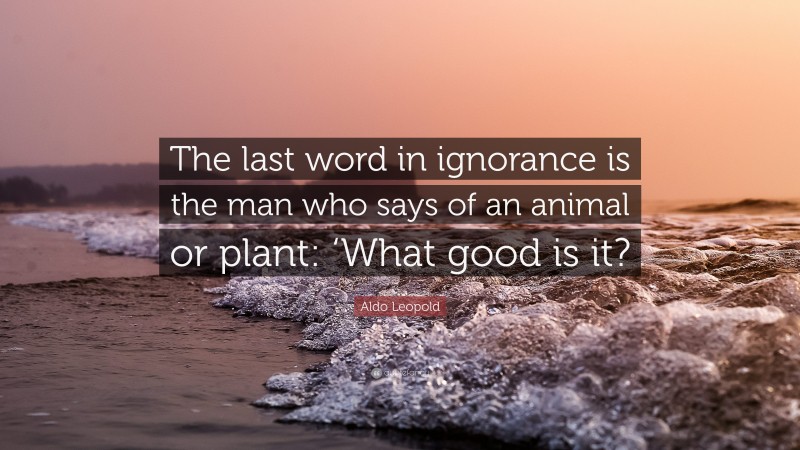 Aldo Leopold Quote: “The last word in ignorance is the man who says of an animal or plant: ‘What good is it?”