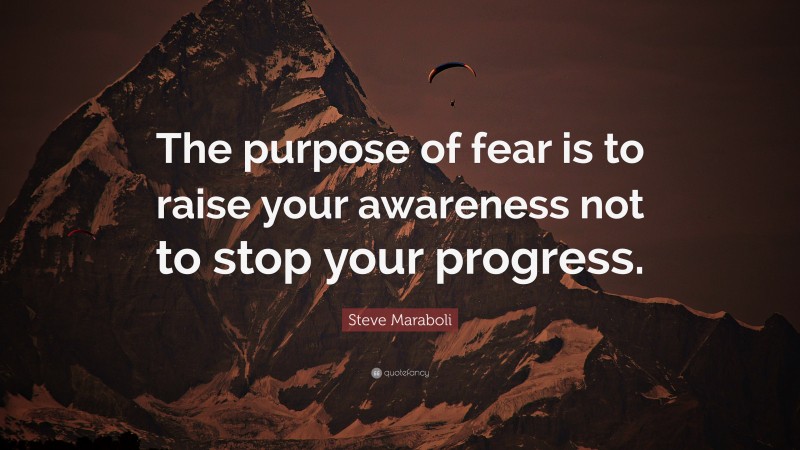 Steve Maraboli Quote: “The purpose of fear is to raise your awareness not to stop your progress.”