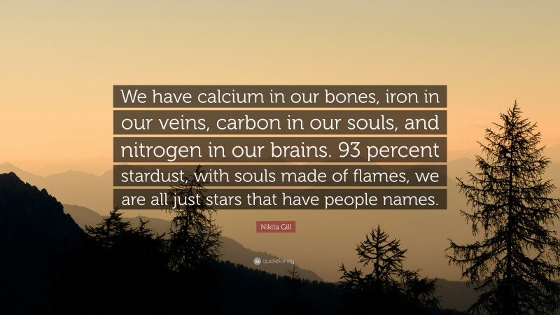 Nikita Gill Quote: “We have calcium in our bones, iron in our veins, carbon in our souls, and nitrogen in our brains. 93 percent stardust, with souls made of flames, we are all just stars that have people names.”
