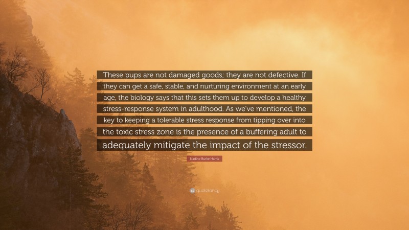 Nadine Burke Harris Quote: “These pups are not damaged goods; they are not defective. If they can get a safe, stable, and nurturing environment at an early age, the biology says that this sets them up to develop a healthy stress-response system in adulthood. As we’ve mentioned, the key to keeping a tolerable stress response from tipping over into the toxic stress zone is the presence of a buffering adult to adequately mitigate the impact of the stressor.”