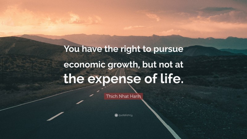 Thich Nhat Hanh Quote: “You have the right to pursue economic growth, but not at the expense of life.”
