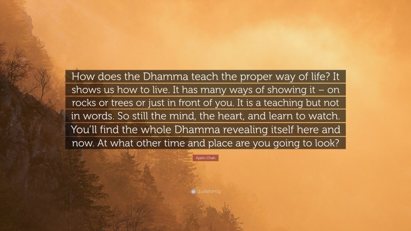 Ajahn Chah Quote: “How does the Dhamma teach the proper way of life? It shows us how to live. It has many ways of showing it – on rocks or trees or just in front of you. It is a teaching but not in words. So still the mind, the heart, and learn to watch. You’ll find the whole Dhamma revealing itself here and now. At what other time and place are you going to look?”