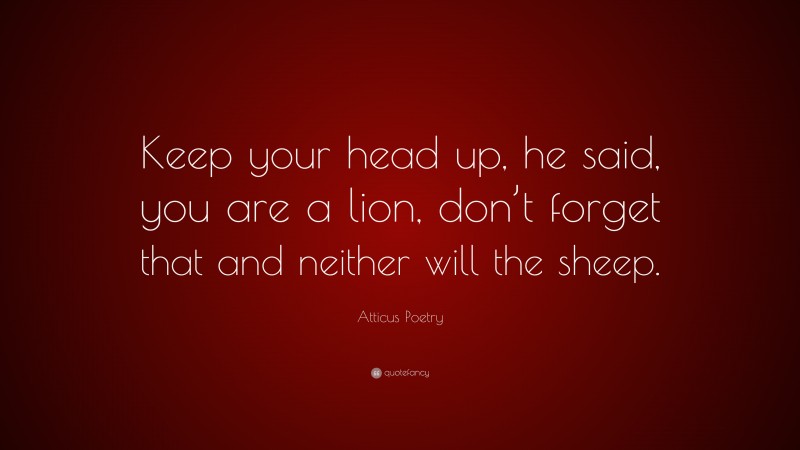 Atticus Poetry Quote: “Keep your head up, he said, you are a lion, don’t forget that and neither will the sheep.”