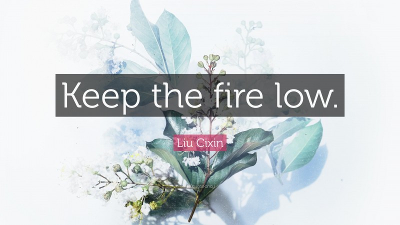 Liu Cixin Quote: “Keep the fire low.”