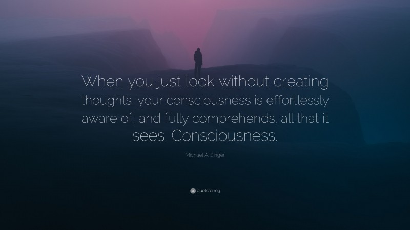 Michael A. Singer Quote: “When you just look without creating thoughts, your consciousness is effortlessly aware of, and fully comprehends, all that it sees. Consciousness.”