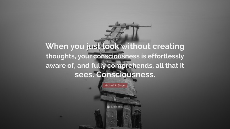 Michael A. Singer Quote: “When you just look without creating thoughts, your consciousness is effortlessly aware of, and fully comprehends, all that it sees. Consciousness.”