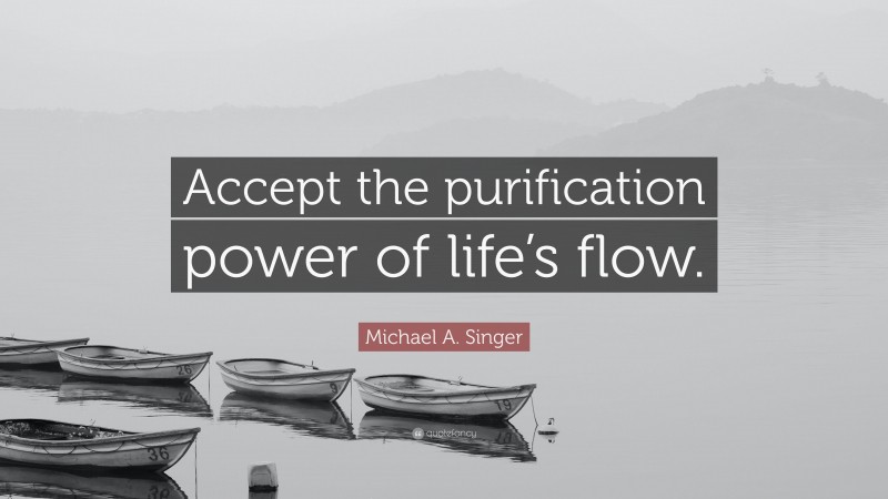 Michael A. Singer Quote: “Accept the purification power of life’s flow.”