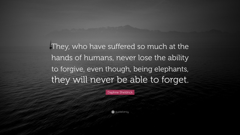 Daphne Sheldrick Quote: “They, who have suffered so much at the hands of humans, never lose the ability to forgive, even though, being elephants, they will never be able to forget.”