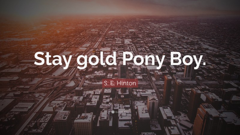 S. E. Hinton Quote: “Stay gold Pony Boy.”