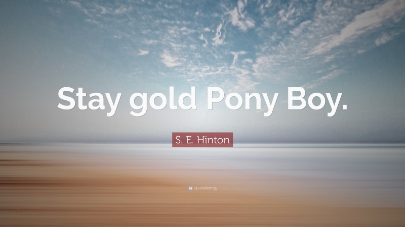 S. E. Hinton Quote: “Stay gold Pony Boy.”