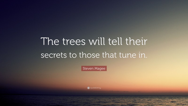 Steven Magee Quote: “The trees will tell their secrets to those that tune in.”