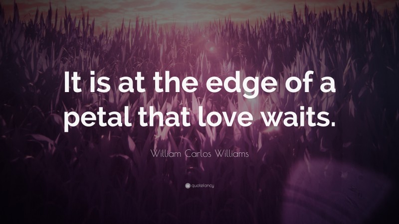 William Carlos Williams Quote: “It is at the edge of a petal that love waits.”