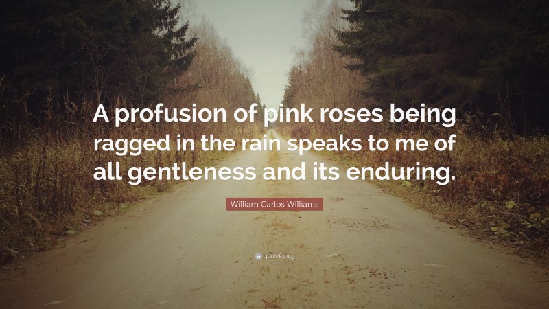 William Carlos Williams Quote: “A profusion of pink roses being ragged in the rain speaks to me of all gentleness and its enduring.”