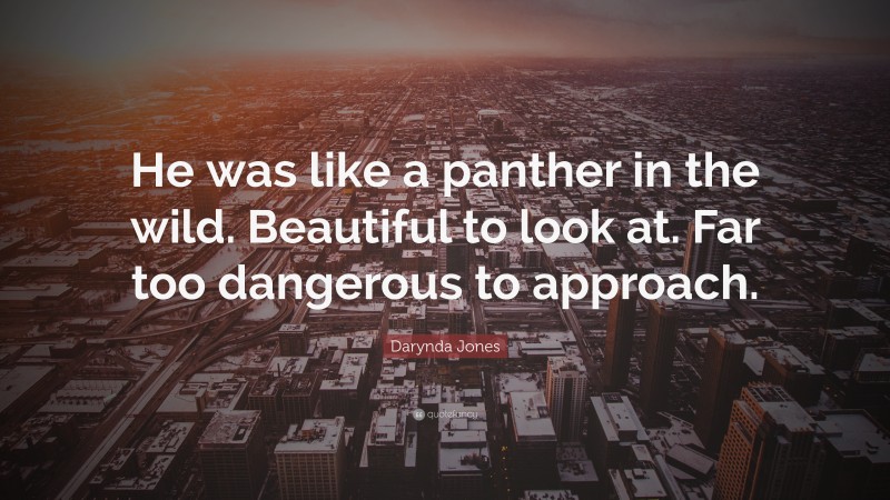 Darynda Jones Quote: “He was like a panther in the wild. Beautiful to look at. Far too dangerous to approach.”