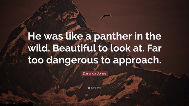 Darynda Jones Quote: “He was like a panther in the wild. Beautiful to look at. Far too dangerous to approach.”