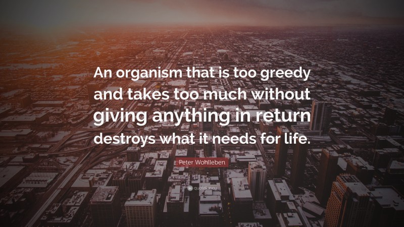 Peter Wohlleben Quote: “An organism that is too greedy and takes too much without giving anything in return destroys what it needs for life.”