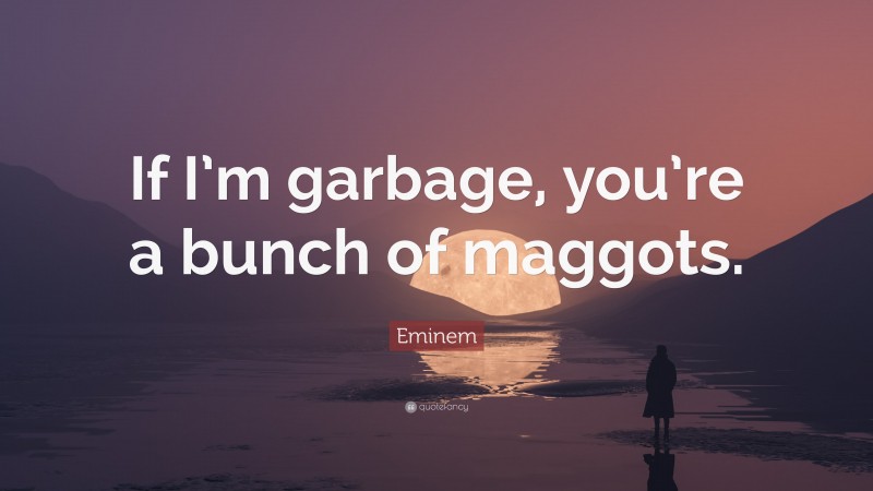 Eminem Quote: “If I’m garbage, you’re a bunch of maggots.”