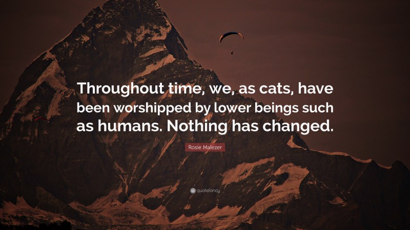 Rosie Malezer Quote: “Throughout time, we, as cats, have been worshipped by lower beings such as humans. Nothing has changed.”