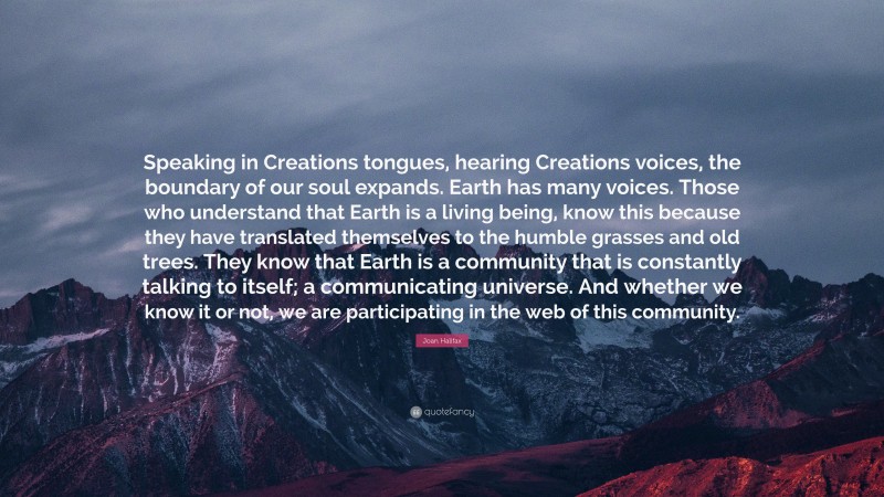 Joan Halifax Quote: “Speaking in Creations tongues, hearing Creations voices, the boundary of our soul expands. Earth has many voices. Those who understand that Earth is a living being, know this because they have translated themselves to the humble grasses and old trees. They know that Earth is a community that is constantly talking to itself; a communicating universe. And whether we know it or not, we are participating in the web of this community.”