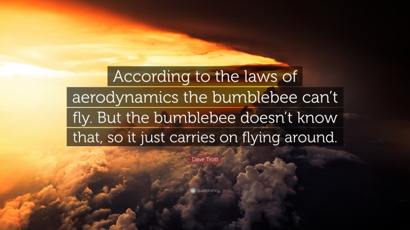 Dave Trott Quote: “According to the laws of aerodynamics the bumblebee can’t fly. But the bumblebee doesn’t know that, so it just carries on flying around.”