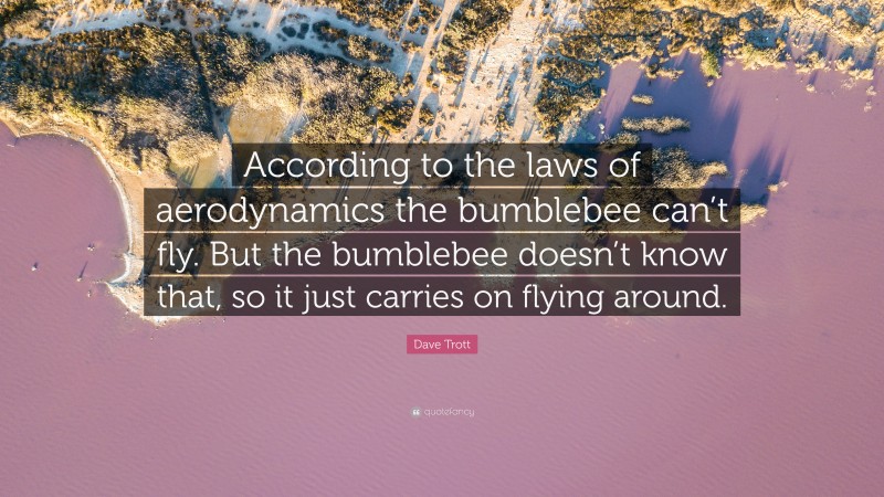 Dave Trott Quote: “According to the laws of aerodynamics the bumblebee can’t fly. But the bumblebee doesn’t know that, so it just carries on flying around.”