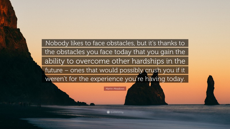 Martin Meadows Quote: “Nobody likes to face obstacles, but it’s thanks to the obstacles you face today that you gain the ability to overcome other hardships in the future – ones that would possibly crush you if it weren’t for the experience you’re having today.”