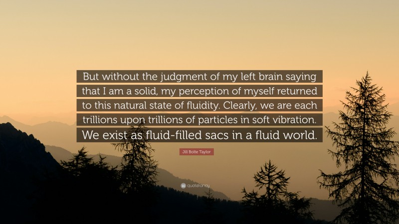 Jill Bolte Taylor Quote: “But without the judgment of my left brain saying that I am a solid, my perception of myself returned to this natural state of fluidity. Clearly, we are each trillions upon trillions of particles in soft vibration. We exist as fluid-filled sacs in a fluid world.”