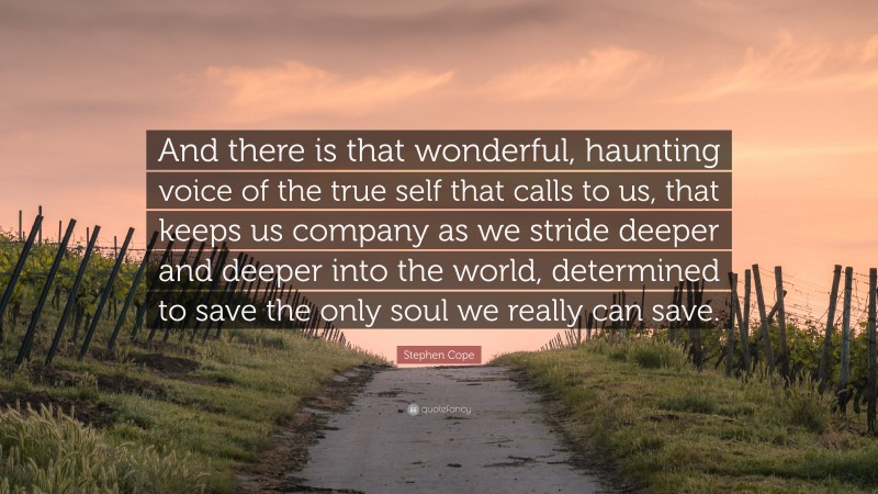 Stephen Cope Quote: “And there is that wonderful, haunting voice of the true self that calls to us, that keeps us company as we stride deeper and deeper into the world, determined to save the only soul we really can save.”