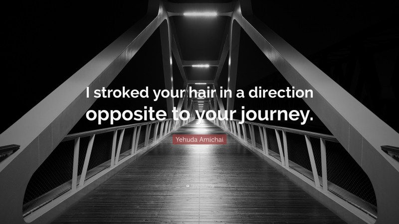 Yehuda Amichai Quote: “I stroked your hair in a direction opposite to your journey.”
