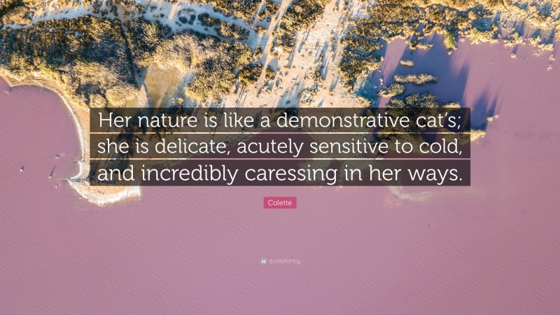 Colette Quote: “Her nature is like a demonstrative cat’s; she is delicate, acutely sensitive to cold, and incredibly caressing in her ways.”