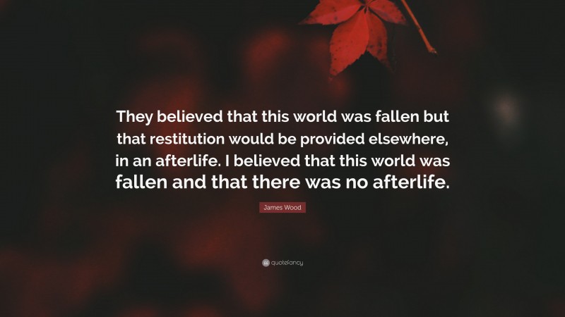 James Wood Quote: “They believed that this world was fallen but that restitution would be provided elsewhere, in an afterlife. I believed that this world was fallen and that there was no afterlife.”