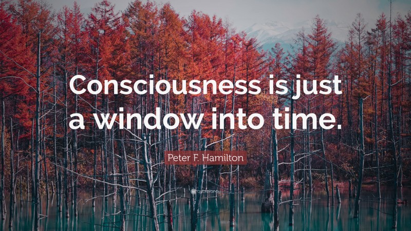 Peter F. Hamilton Quote: “Consciousness is just a window into time.”