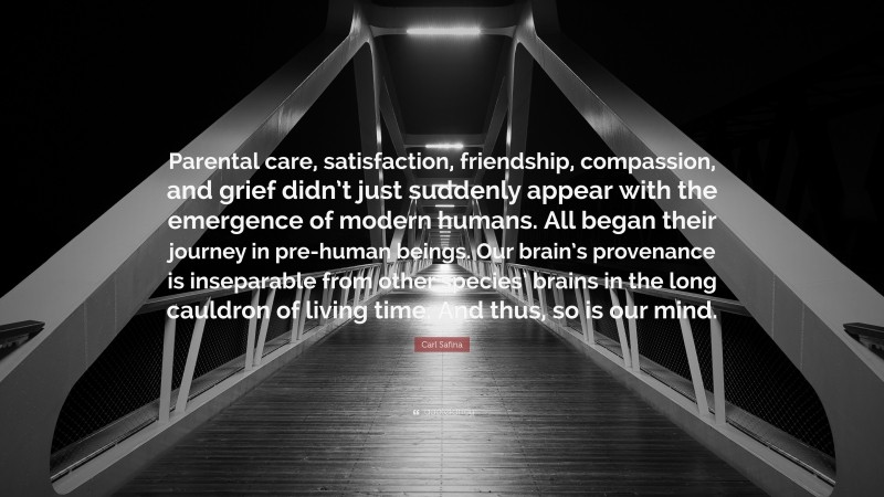 Carl Safina Quote: “Parental care, satisfaction, friendship, compassion, and grief didn’t just suddenly appear with the emergence of modern humans. All began their journey in pre-human beings. Our brain’s provenance is inseparable from other species’ brains in the long cauldron of living time. And thus, so is our mind.”