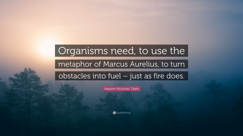 Nassim Nicholas Taleb Quote: “Organisms need, to use the metaphor of Marcus Aurelius, to turn obstacles into fuel – just as fire does.”