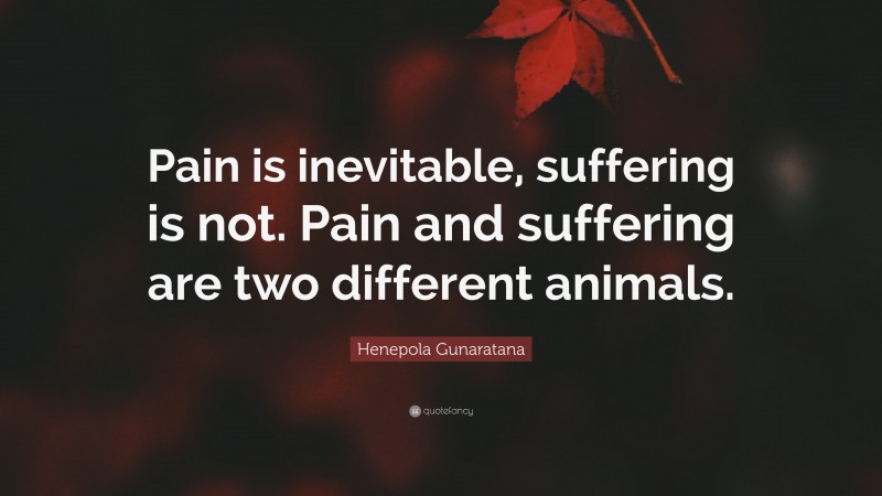 Henepola Gunaratana Quote: “Pain is inevitable, suffering is not. Pain and suffering are two different animals.”