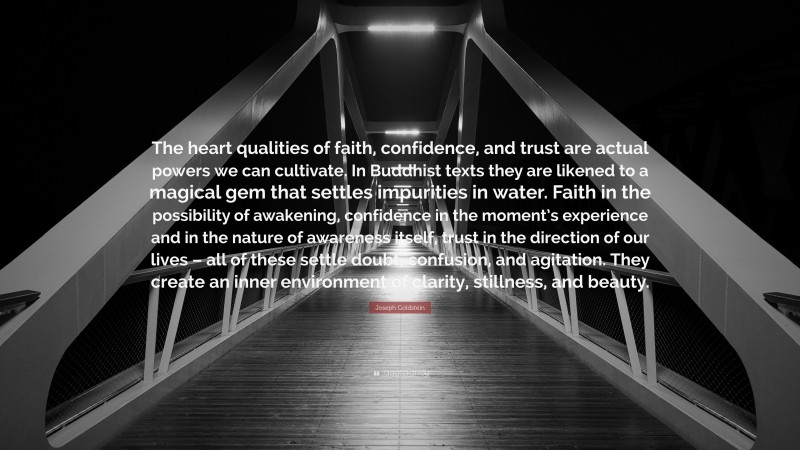 Joseph Goldstein Quote: “The heart qualities of faith, confidence, and trust are actual powers we can cultivate. In Buddhist texts they are likened to a magical gem that settles impurities in water. Faith in the possibility of awakening, confidence in the moment’s experience and in the nature of awareness itself, trust in the direction of our lives – all of these settle doubt, confusion, and agitation. They create an inner environment of clarity, stillness, and beauty.”