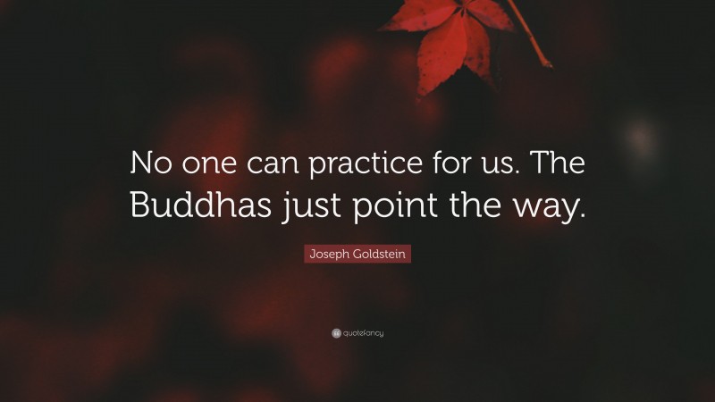 Joseph Goldstein Quote: “No one can practice for us. The Buddhas just point the way.”