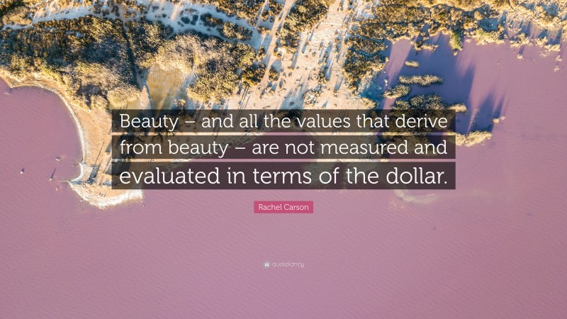 Rachel Carson Quote: “Beauty – and all the values that derive from beauty – are not measured and evaluated in terms of the dollar.”