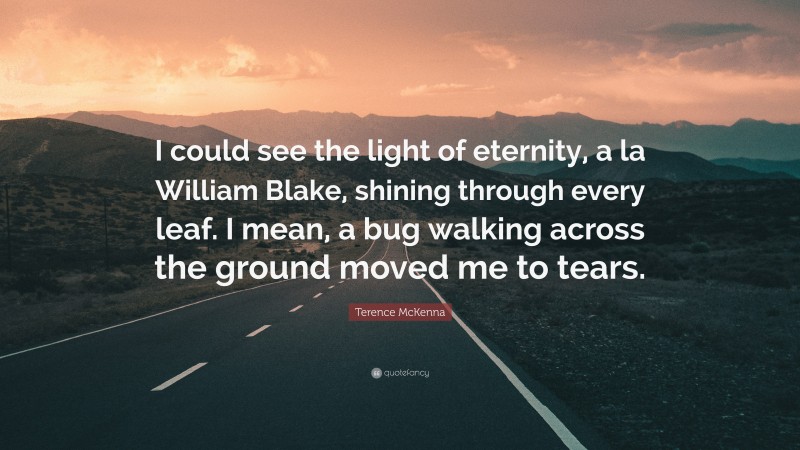 Terence McKenna Quote: “I could see the light of eternity, a la William Blake, shining through every leaf. I mean, a bug walking across the ground moved me to tears.”
