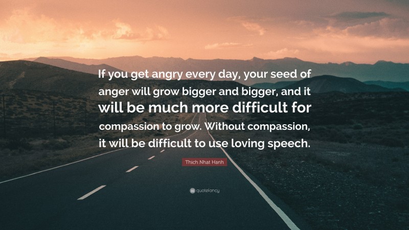 Thich Nhat Hanh Quote: “If you get angry every day, your seed of anger will grow bigger and bigger, and it will be much more difficult for compassion to grow. Without compassion, it will be difficult to use loving speech.”