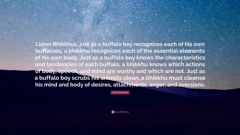 Thich Nhat Hanh Quote: “Listen Bhikkhus, just as a buffalo boy recognizes each of his own buffaloes, a bhikkhu recognizes each of the essential elements of his own body. Just as a buffalo boy knows the characteristics and tendencies of each buffalo, a bhikkhu knows which actions of body, speech, and mind are worthy and which are not. Just as a buffalo boy scrubs his animals clean, a bhikkhu must cleanse his mind and body of desires, attachments, anger, and aversions.”