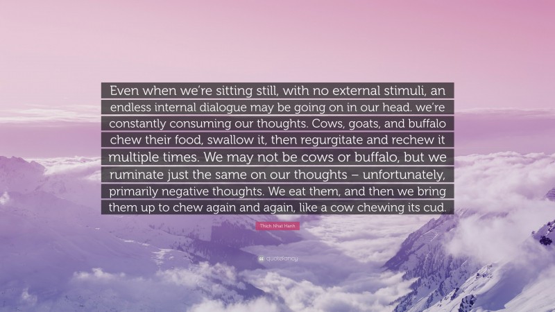 Thich Nhat Hanh Quote: “Even when we’re sitting still, with no external stimuli, an endless internal dialogue may be going on in our head. we’re constantly consuming our thoughts. Cows, goats, and buffalo chew their food, swallow it, then regurgitate and rechew it multiple times. We may not be cows or buffalo, but we ruminate just the same on our thoughts – unfortunately, primarily negative thoughts. We eat them, and then we bring them up to chew again and again, like a cow chewing its cud.”