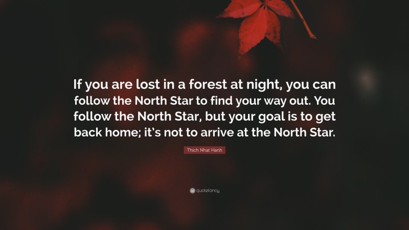 Thich Nhat Hanh Quote: “If you are lost in a forest at night, you can follow the North Star to find your way out. You follow the North Star, but your goal is to get back home; it’s not to arrive at the North Star.”