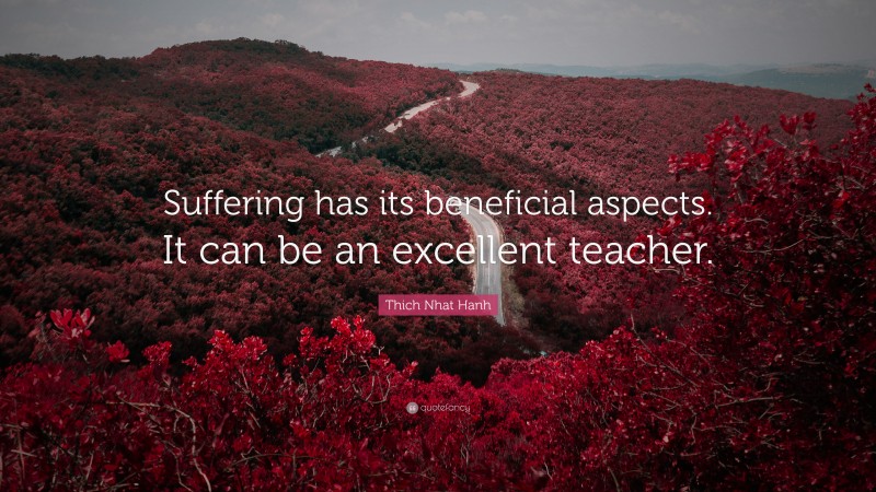 Thich Nhat Hanh Quote: “Suffering has its beneficial aspects. It can be an excellent teacher.”