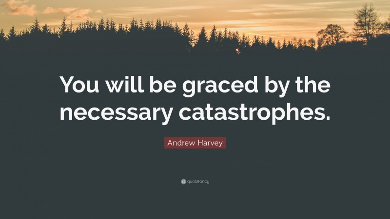 Andrew Harvey Quote: “You will be graced by the necessary catastrophes.”